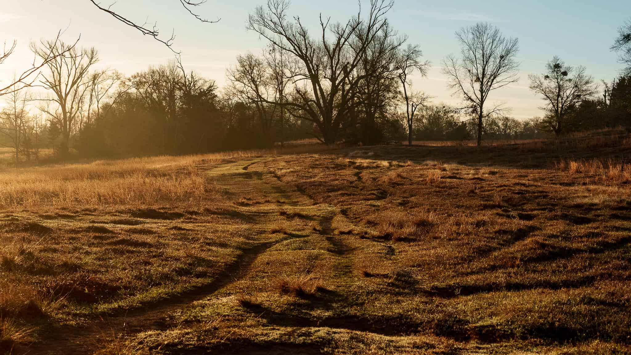 SOLD! 546-Acre Hunting Ranch for Sale | Deer, Waterfowl & Hogs | Bullard TX