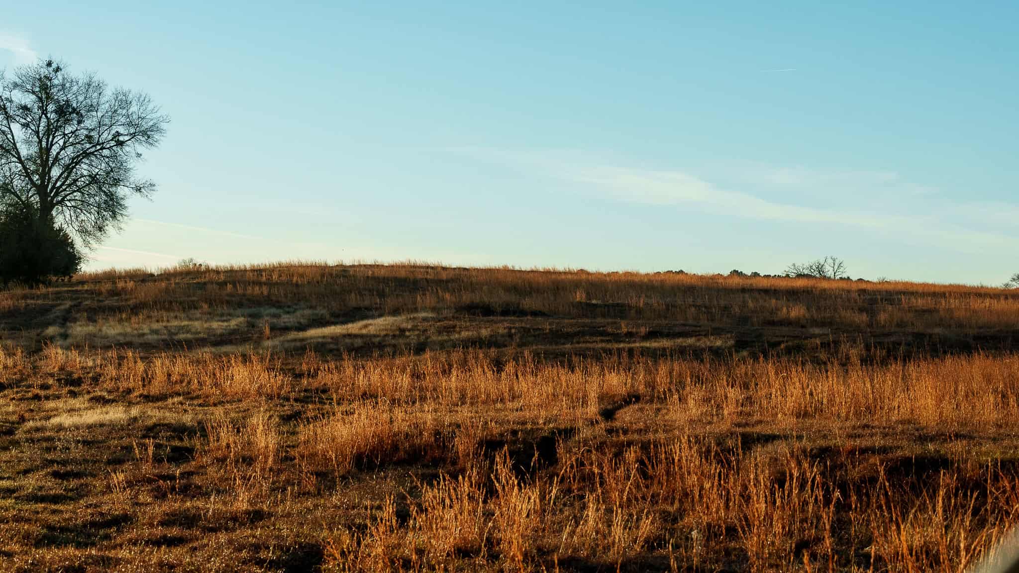 SOLD! 546-Acre Hunting Ranch for Sale | Deer, Waterfowl & Hogs | Bullard TX
