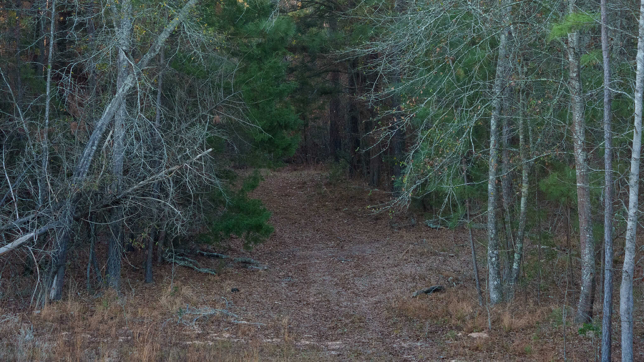 SOLD! 546-Acre Hunting Ranch for Sale | Deer, Waterfowl & Hogs | Bullard TX