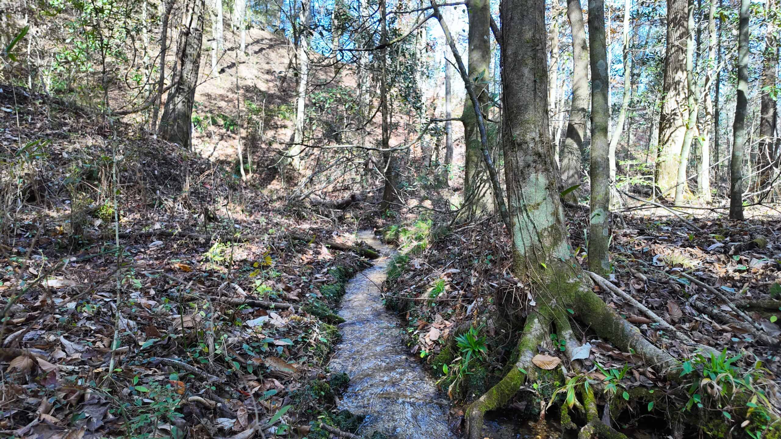 188 Acres for Sale in the Alabama River Bluff