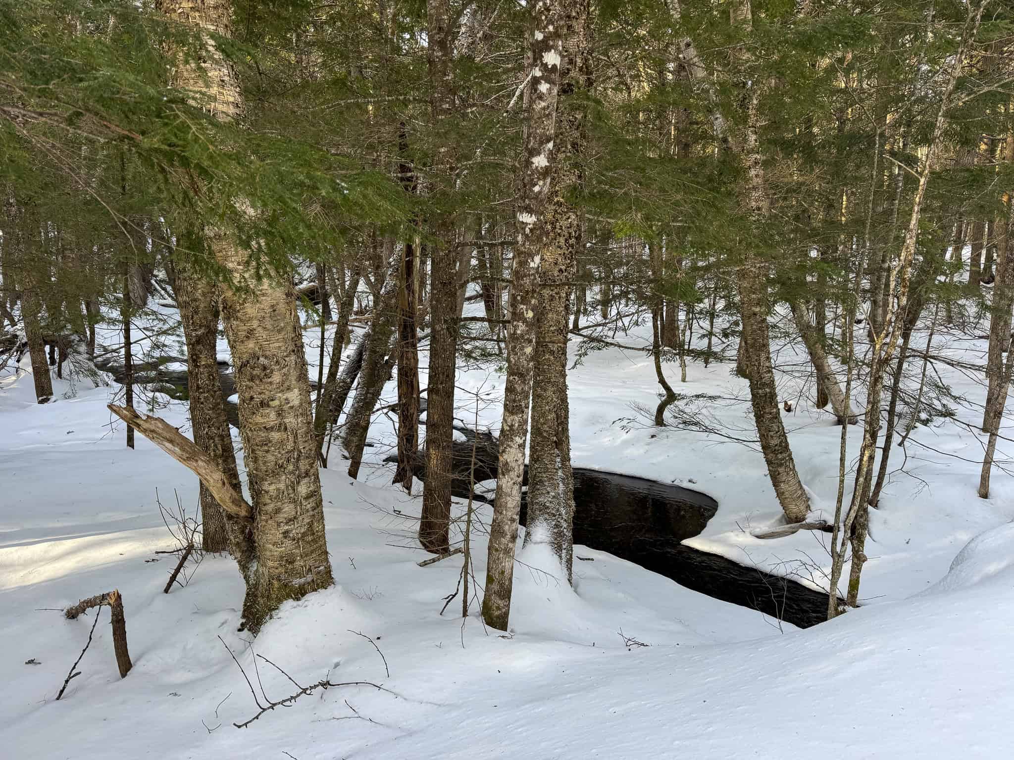 Waterfront Log Cabin on 16 Acres in Northern Maine