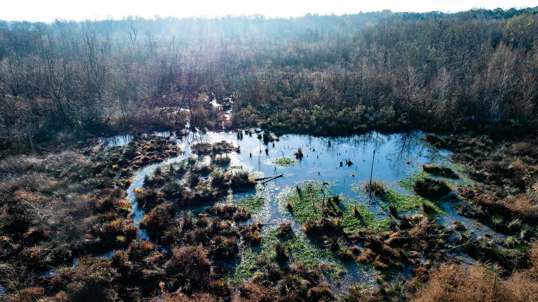 SOLD! 546-Acre Hunting Ranch for Sale | Deer, Waterfowl & Hogs | Bullard TX