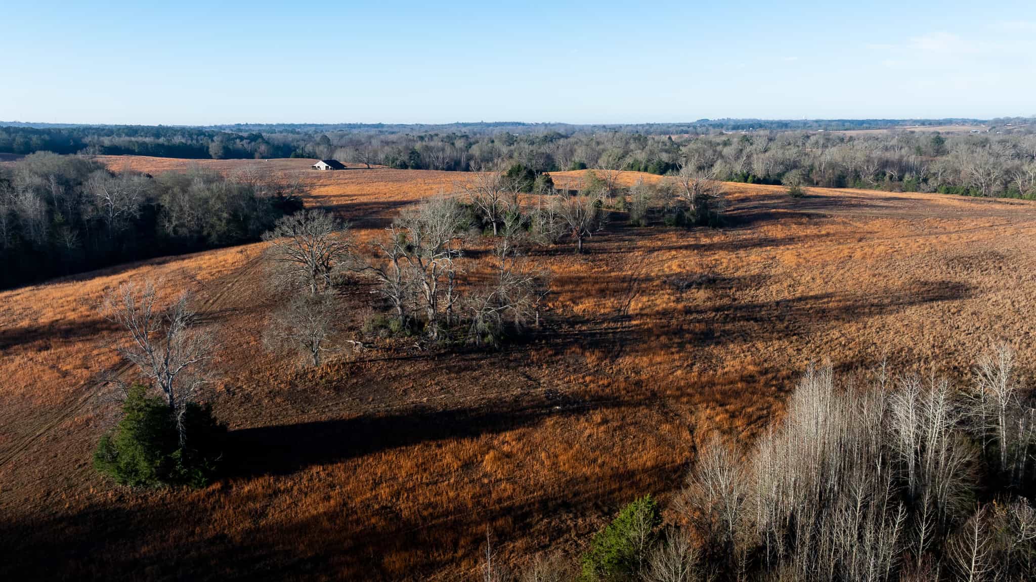 SOLD! 546-Acre Hunting Ranch for Sale | Deer, Waterfowl & Hogs | Bullard TX