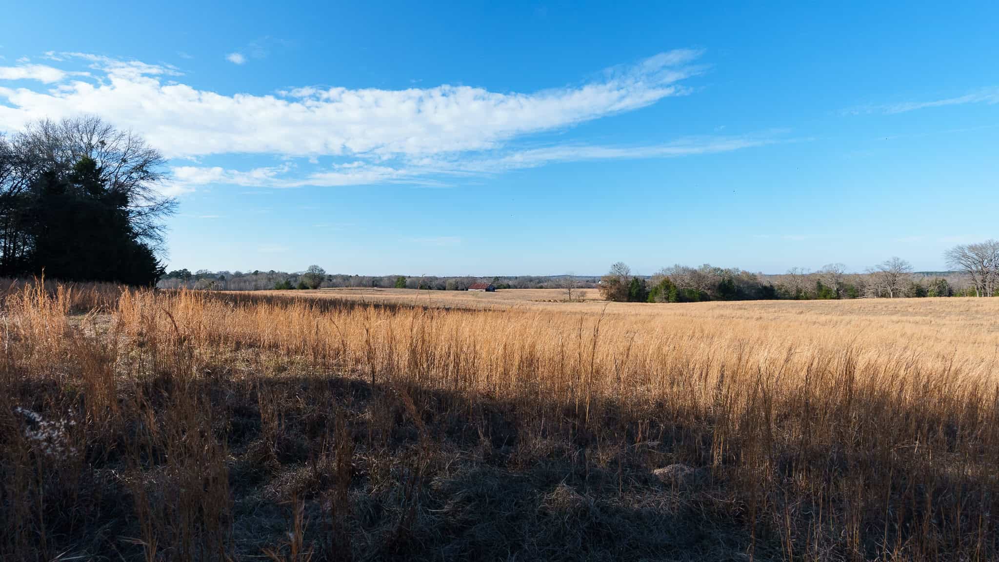 SOLD! 546-Acre Hunting Ranch for Sale | Deer, Waterfowl & Hogs | Bullard TX