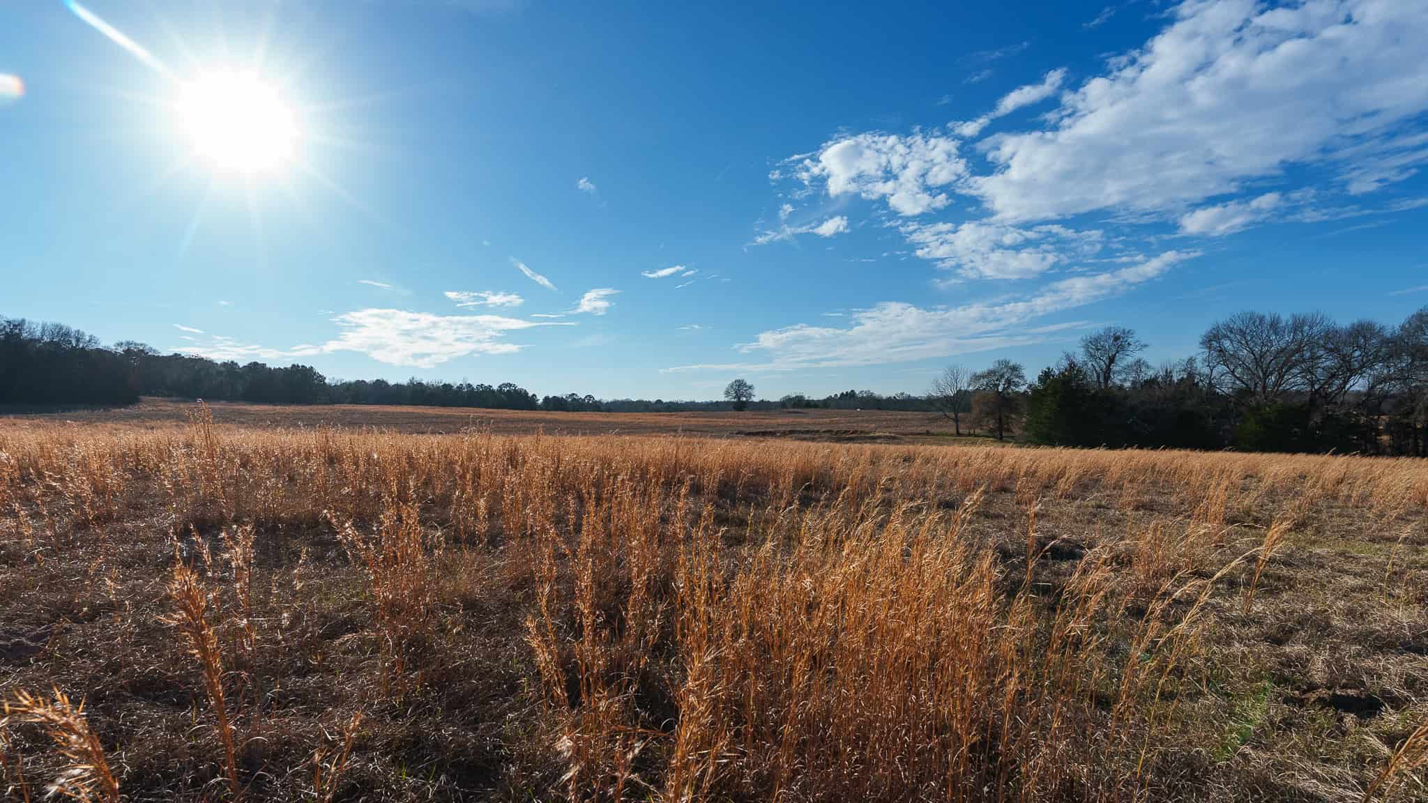 SOLD! 546-Acre Hunting Ranch for Sale | Deer, Waterfowl & Hogs | Bullard TX
