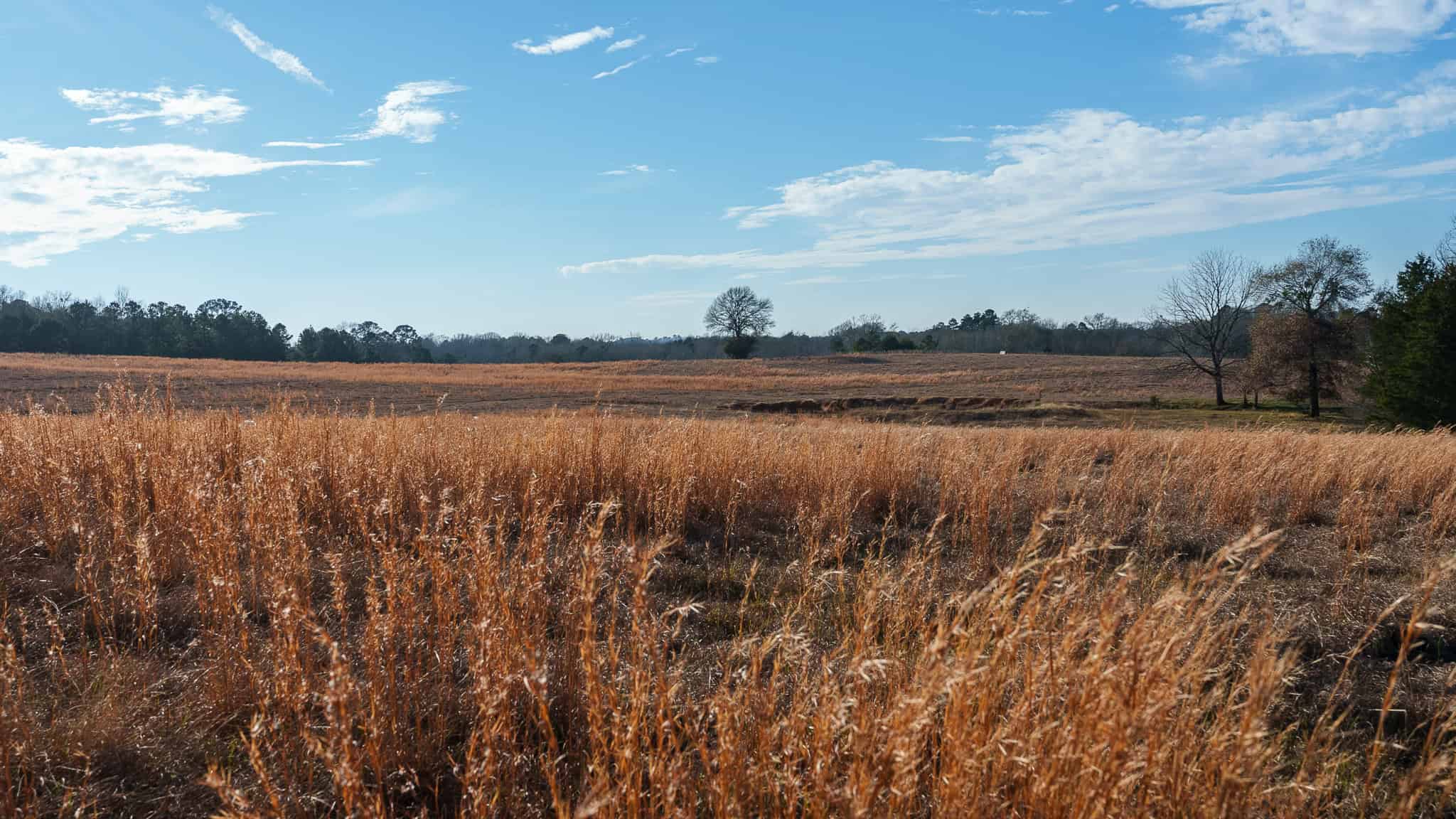 SOLD! 546-Acre Hunting Ranch for Sale | Deer, Waterfowl & Hogs | Bullard TX