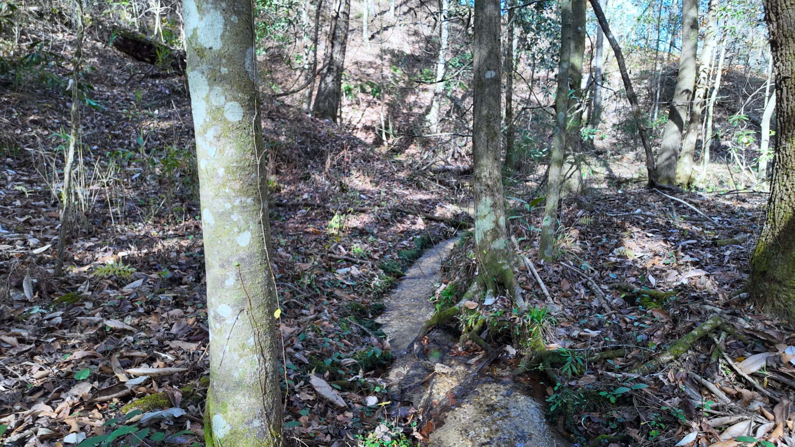188 Acres for Sale in the Alabama River Bluff
