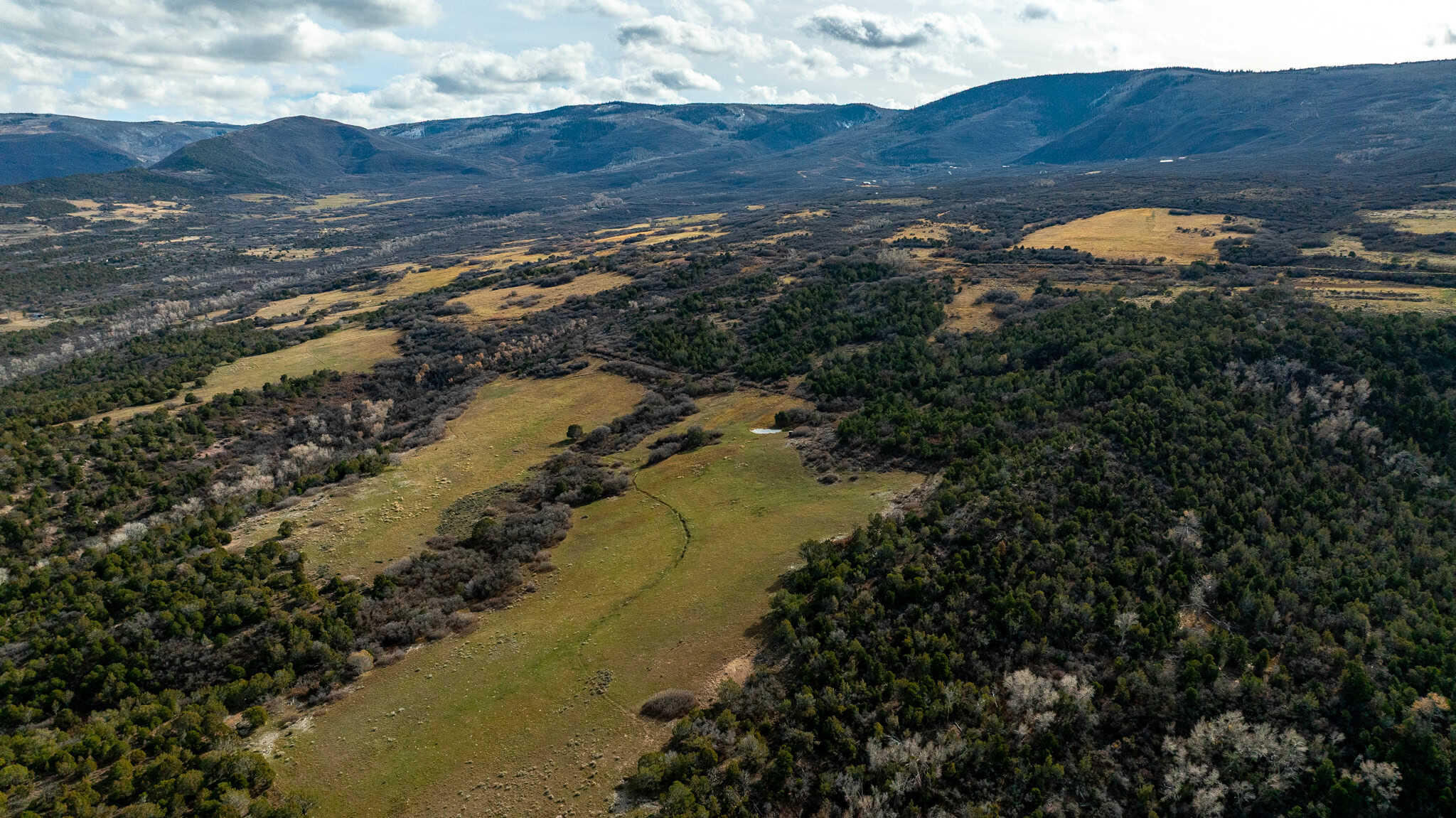 Bull Basin Meadows Ranch – Colorado Ranch in Collbran