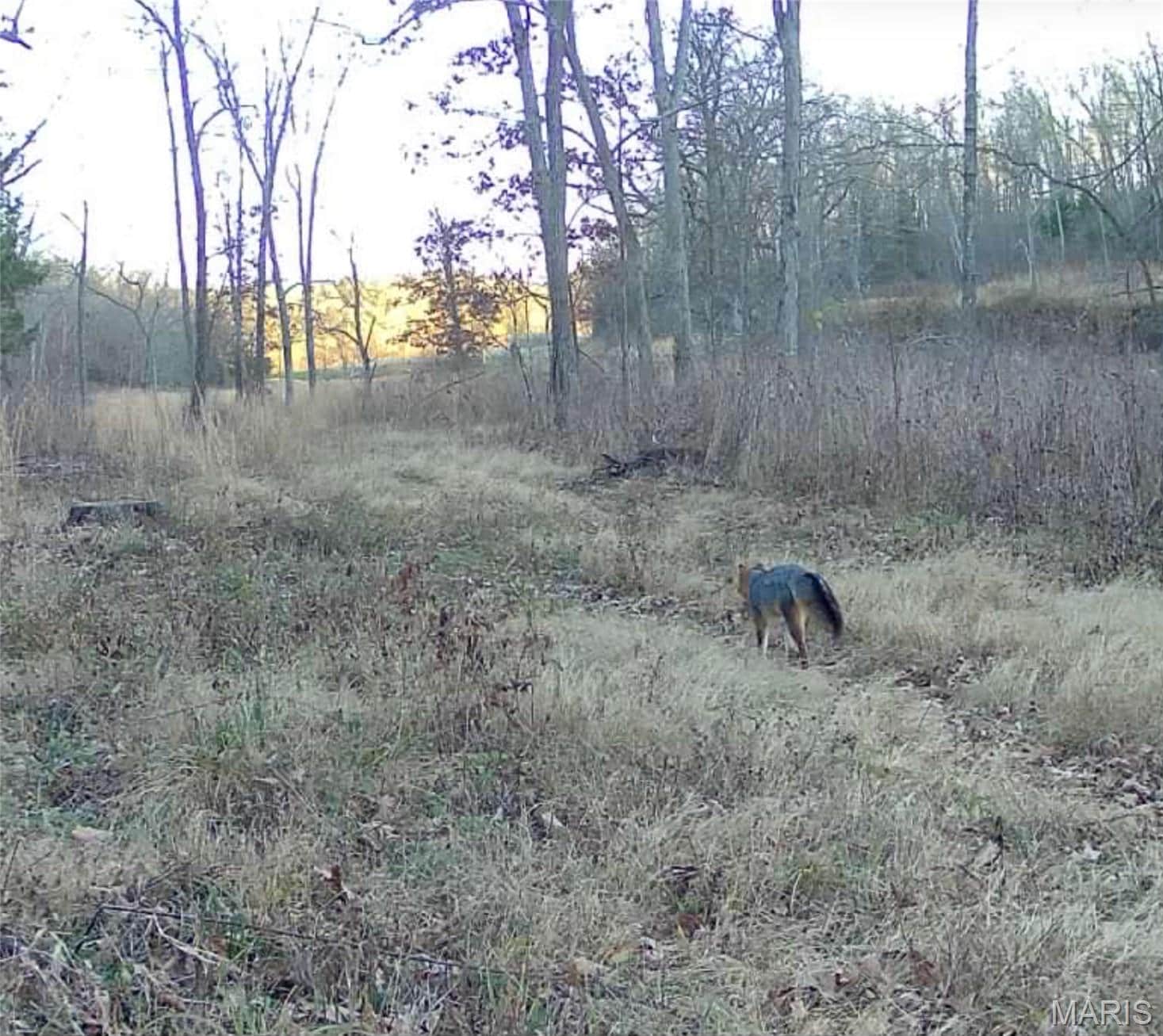 Land with Building Sites for Sale in Salem, Missouri