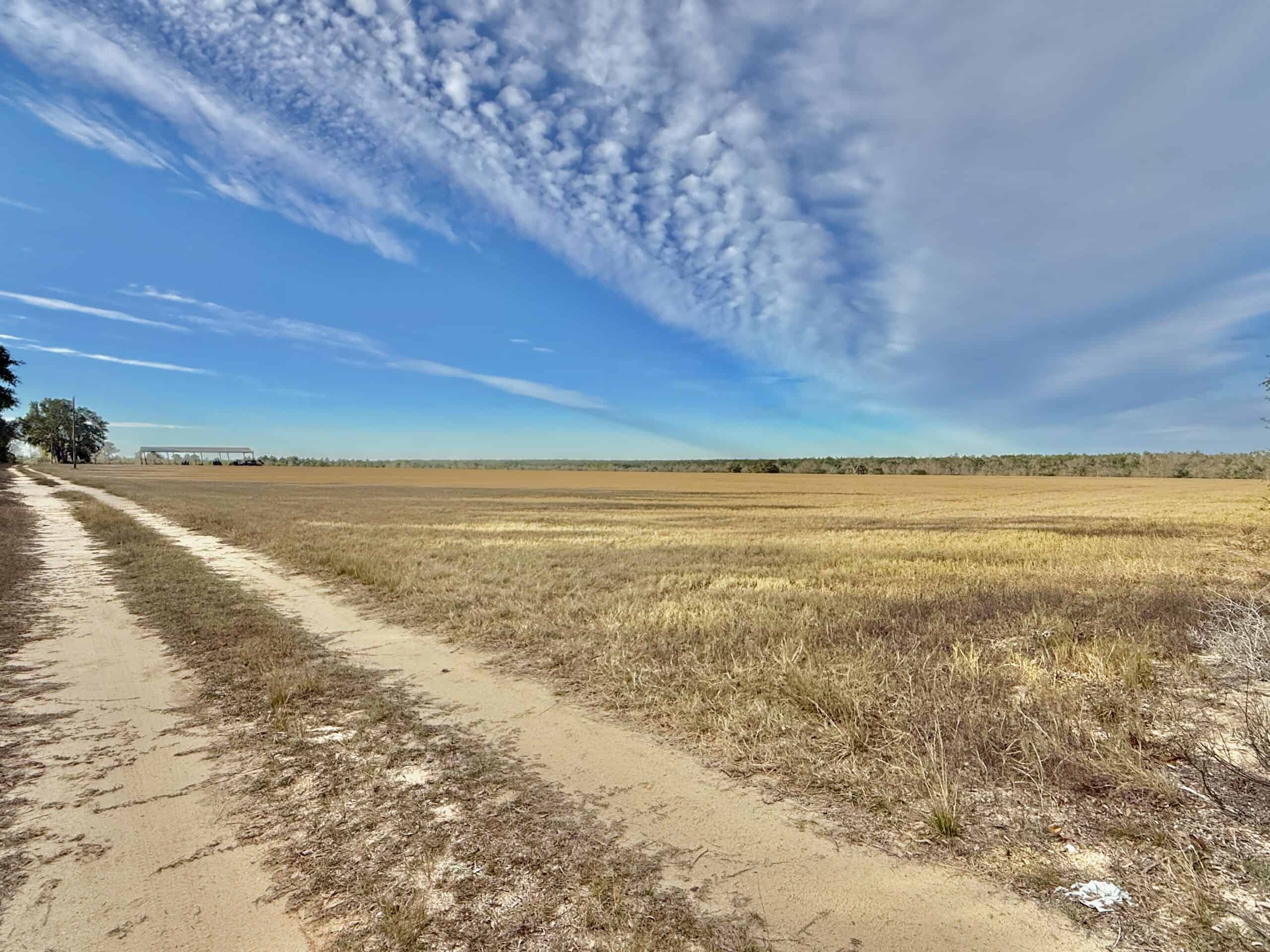 Rudd Sod Farm – 240 Acres in Alford, Florida – For Sale