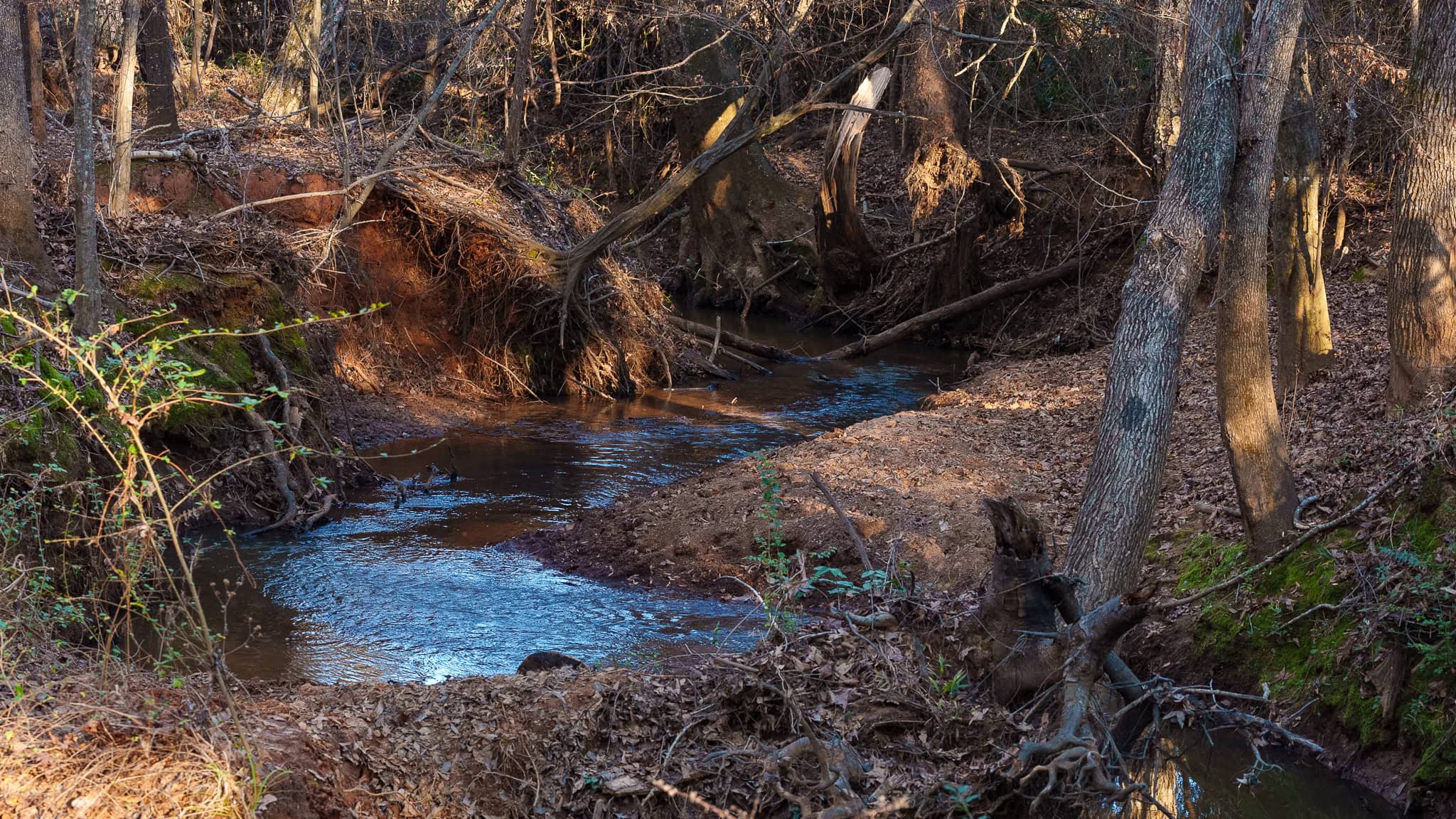 SOLD! 546-Acre Hunting Ranch for Sale | Deer, Waterfowl & Hogs | Bullard TX