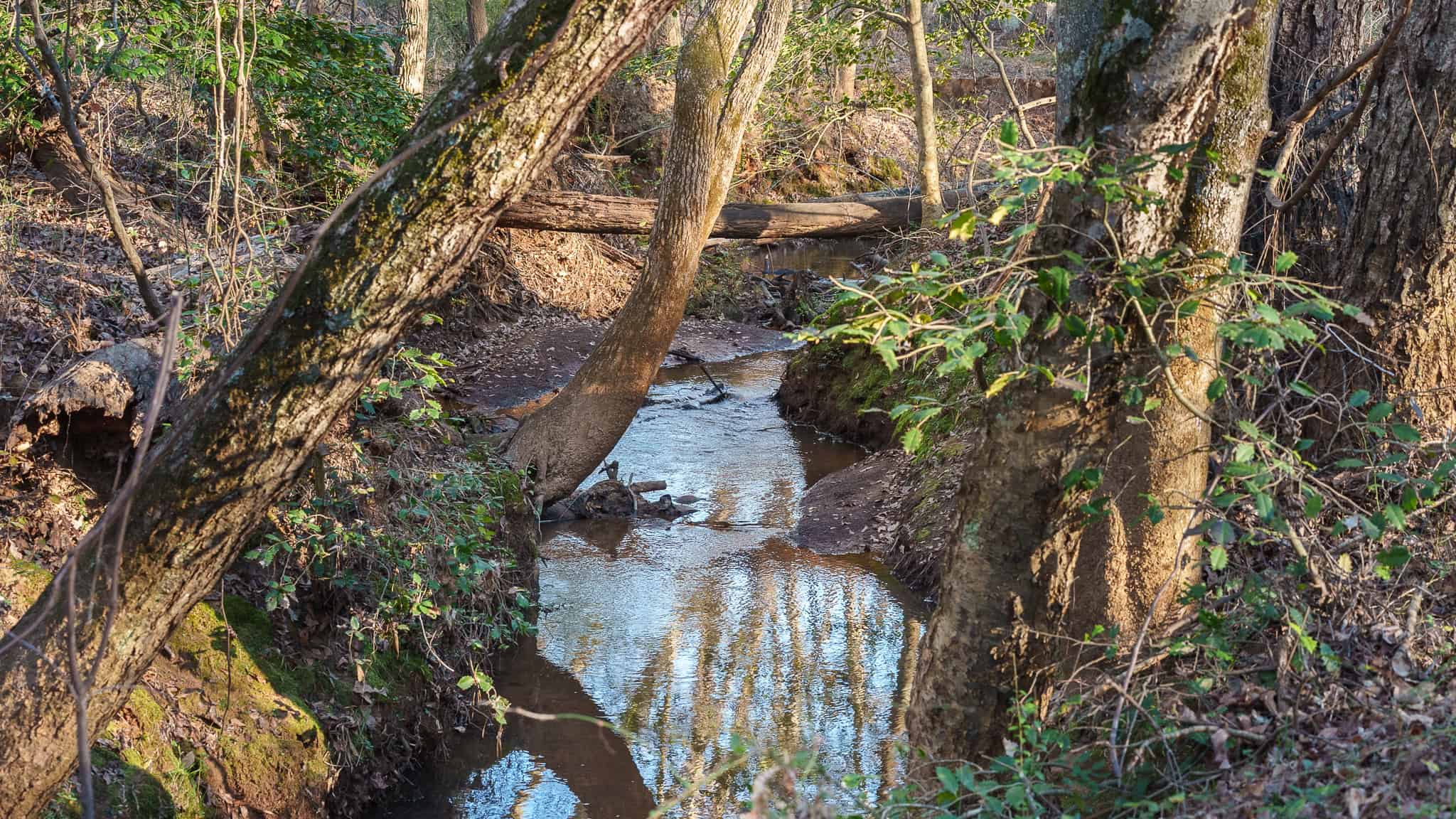 SOLD! 546-Acre Hunting Ranch for Sale | Deer, Waterfowl & Hogs | Bullard TX