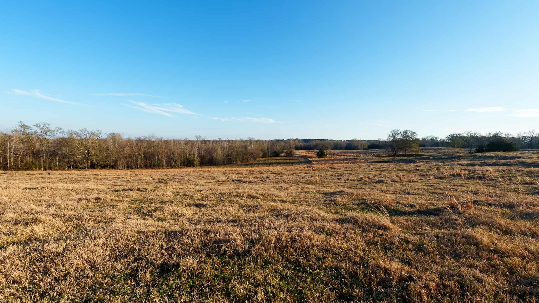SOLD! 546-Acre Hunting Ranch for Sale | Deer, Waterfowl & Hogs | Bullard TX