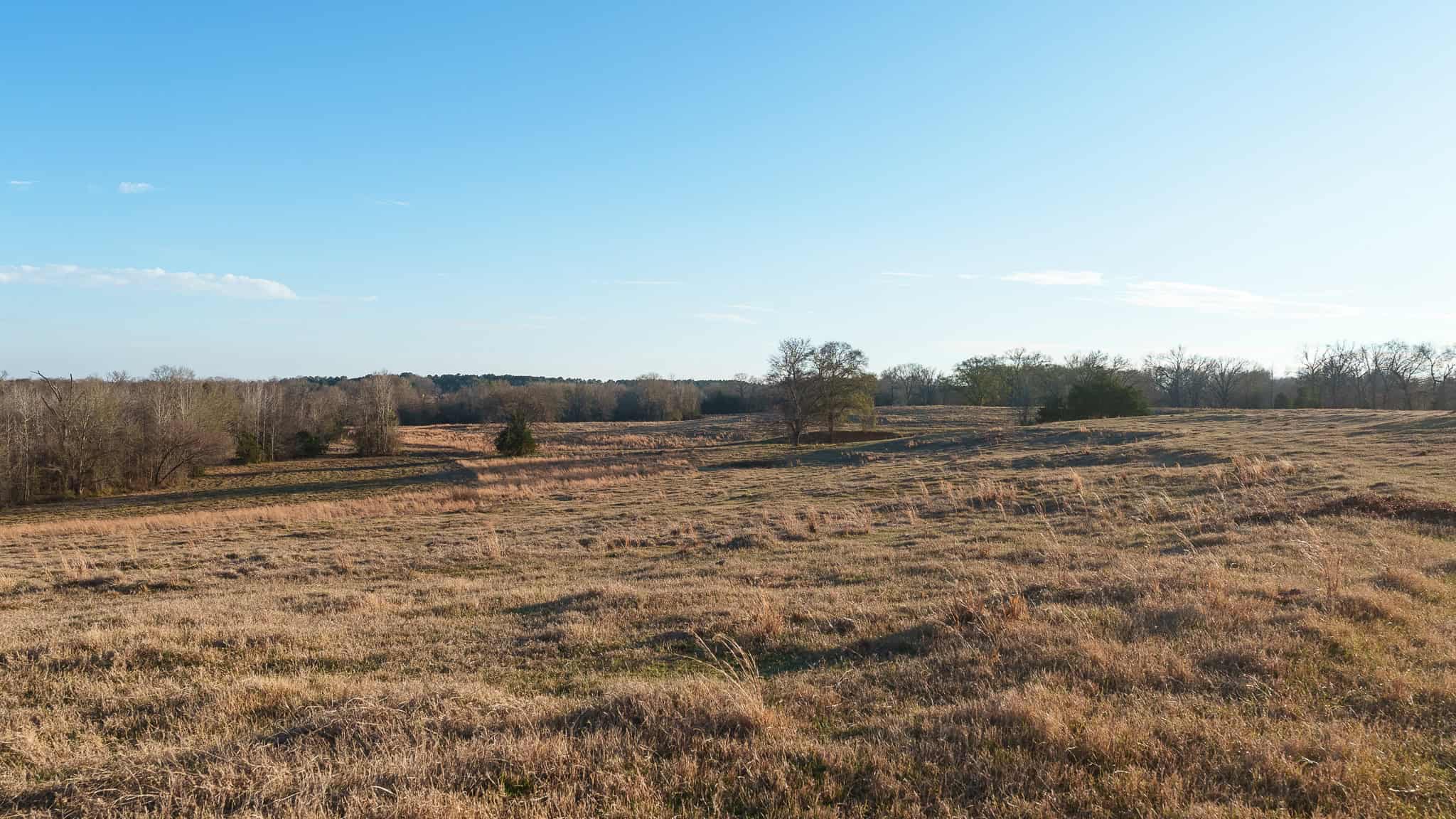 SOLD! 546-Acre Hunting Ranch for Sale | Deer, Waterfowl & Hogs | Bullard TX