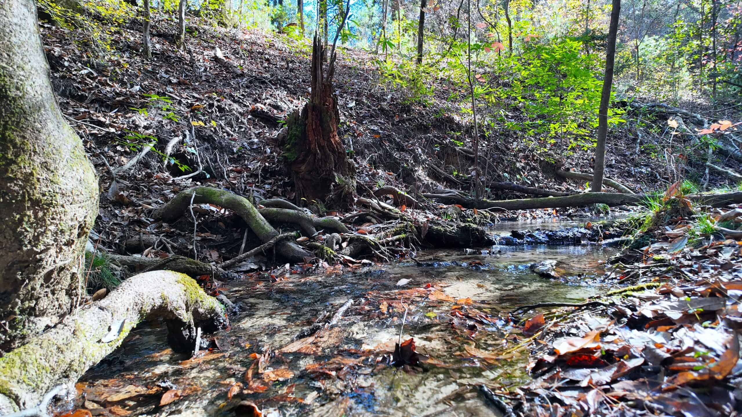 188 Acres for Sale in the Alabama River Bluff