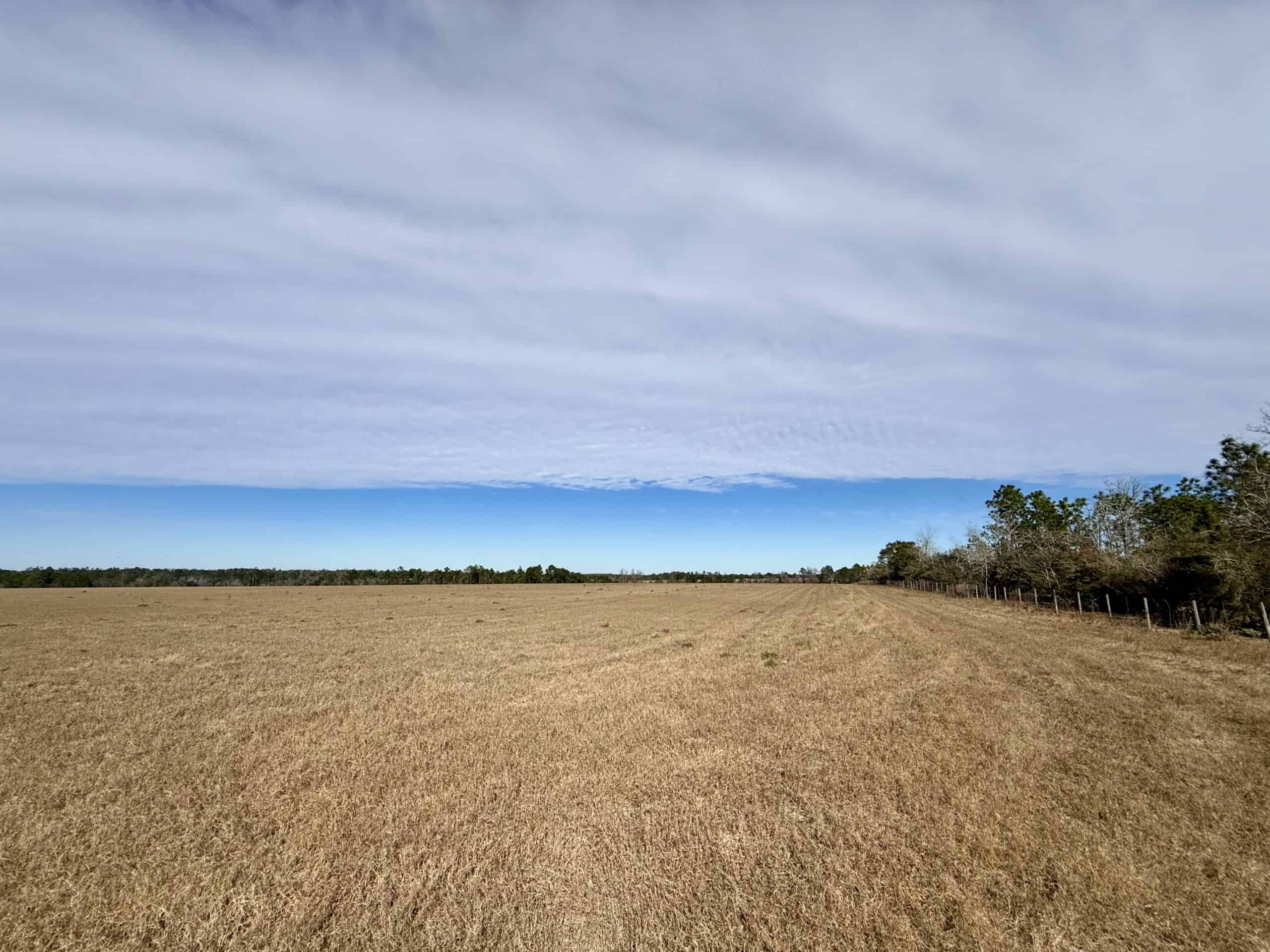 Rudd Sod Farm – 240 Acres in Alford, Florida – For Sale