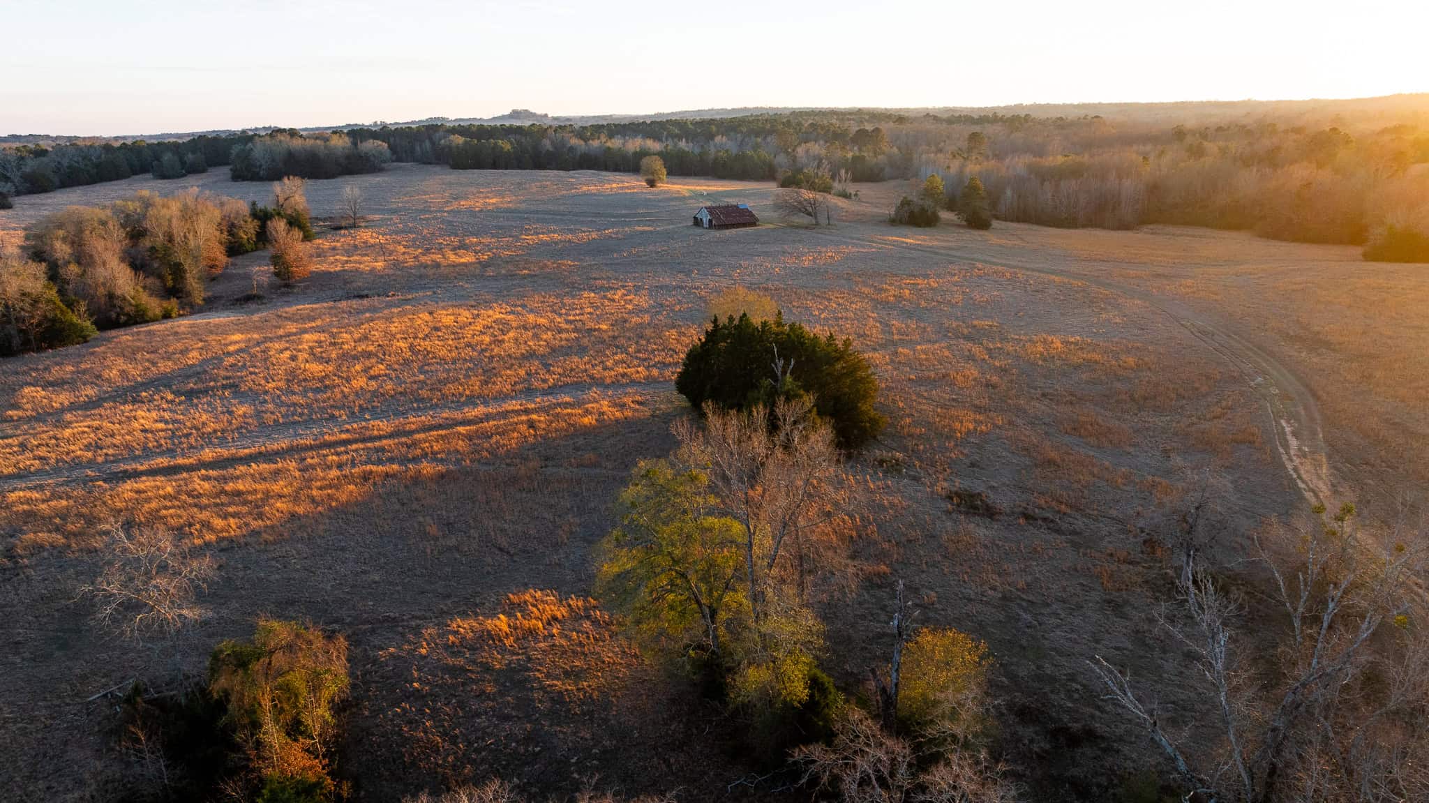 SOLD! 546-Acre Hunting Ranch for Sale | Deer, Waterfowl & Hogs | Bullard TX