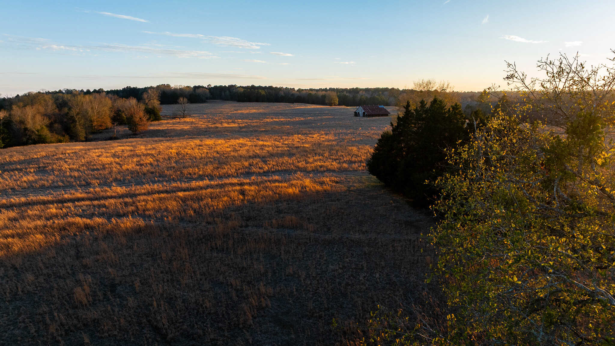 SOLD! 546-Acre Hunting Ranch for Sale | Deer, Waterfowl & Hogs | Bullard TX