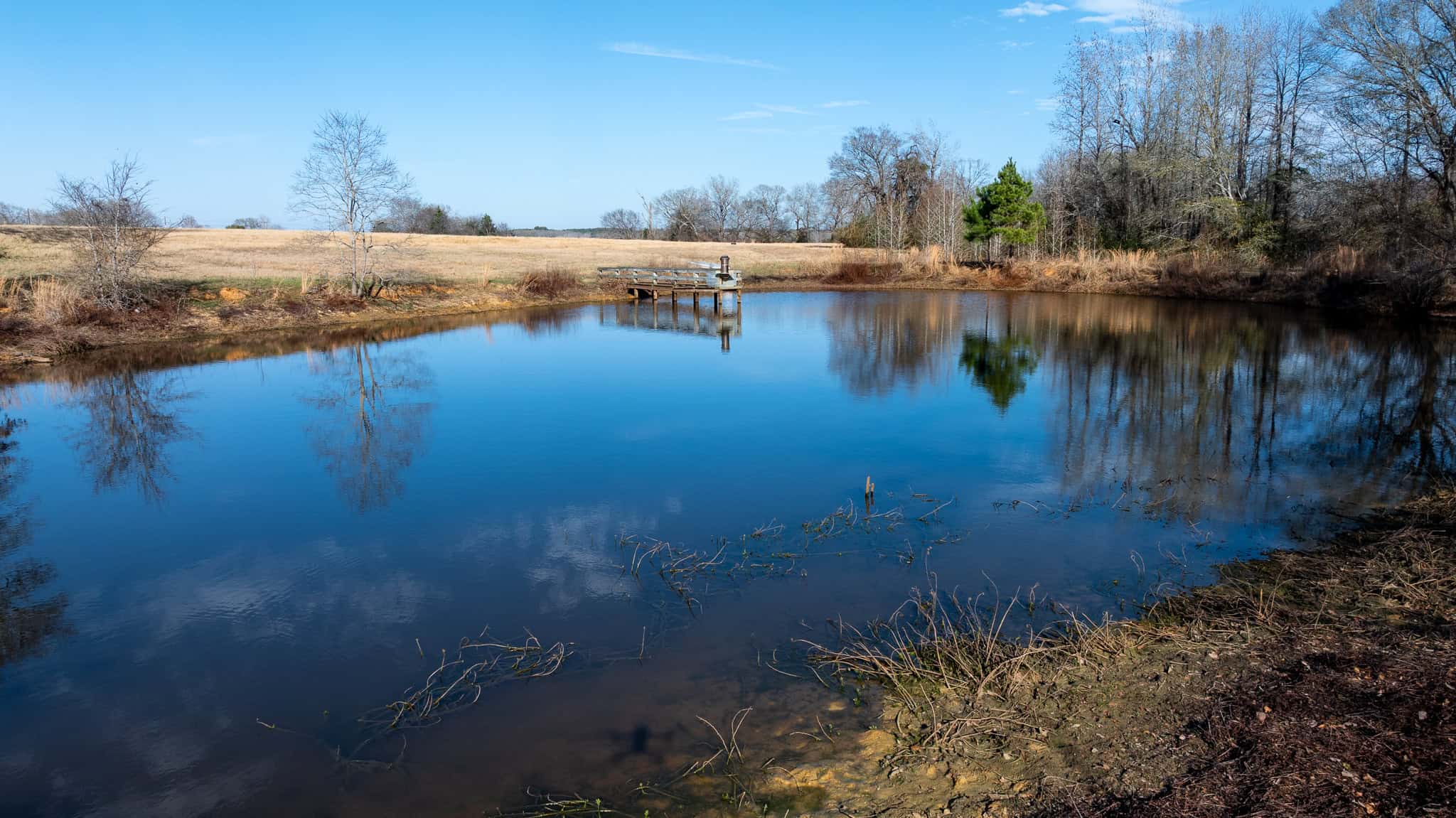 SOLD! 546-Acre Hunting Ranch for Sale | Deer, Waterfowl & Hogs | Bullard TX