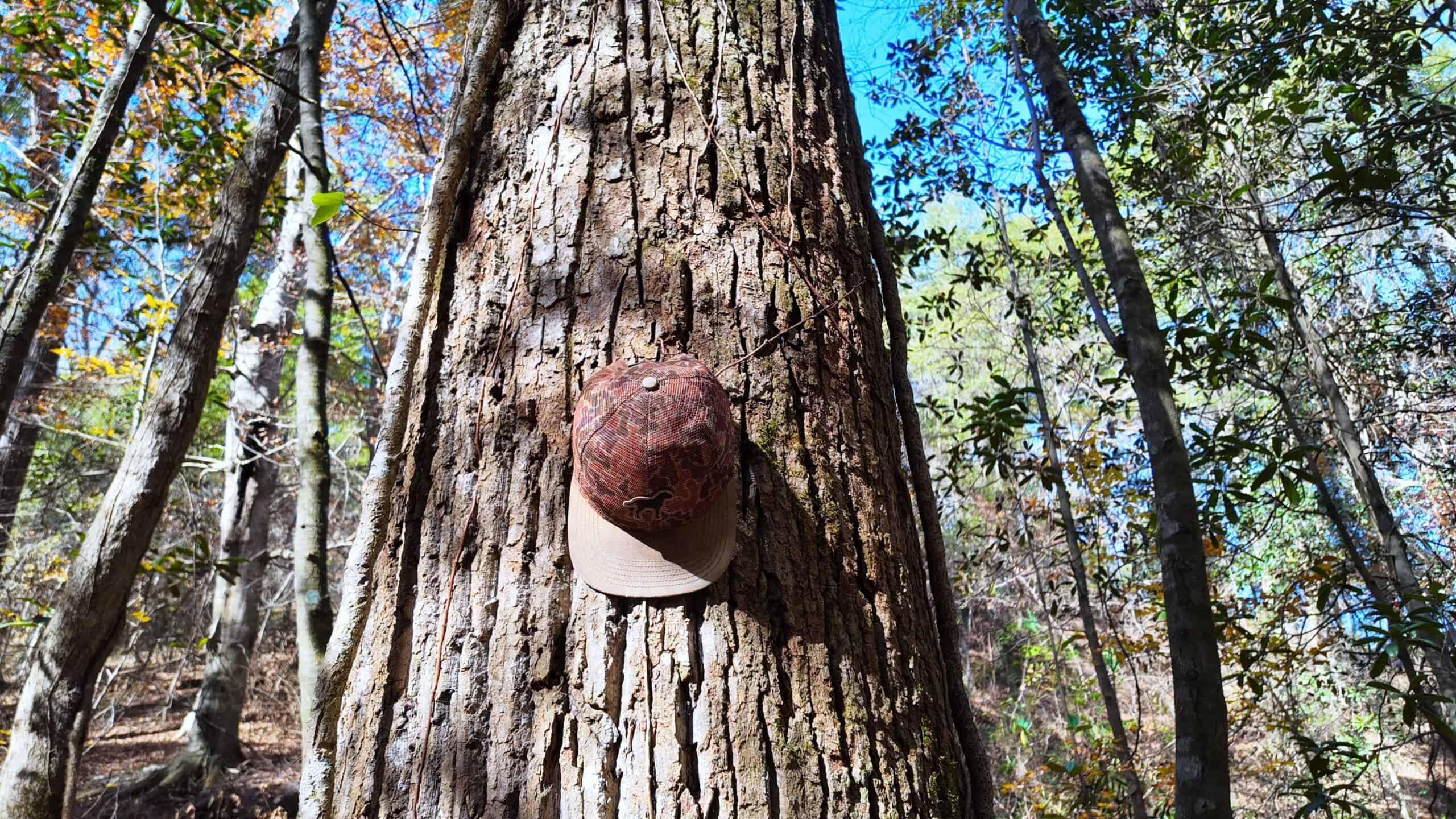 188 Acres for Sale in the Alabama River Bluff
