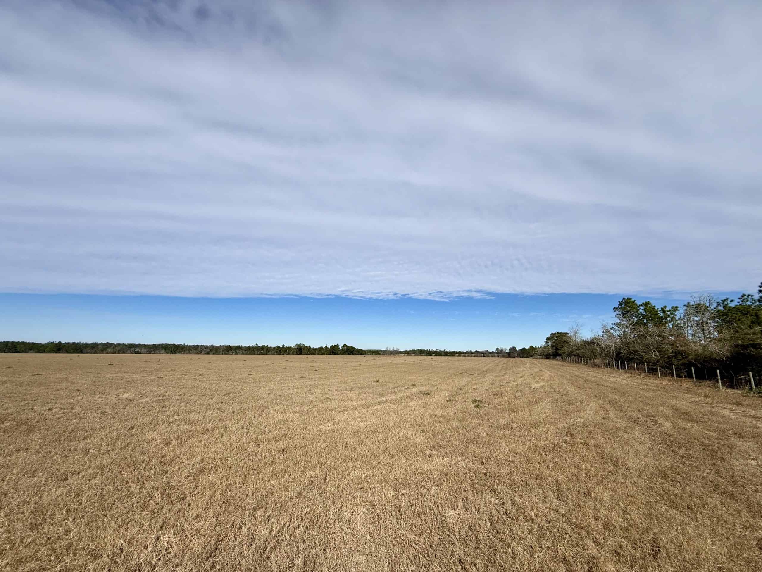 Rudd Sod Farm – 240 Acres in Alford, Florida – For Sale