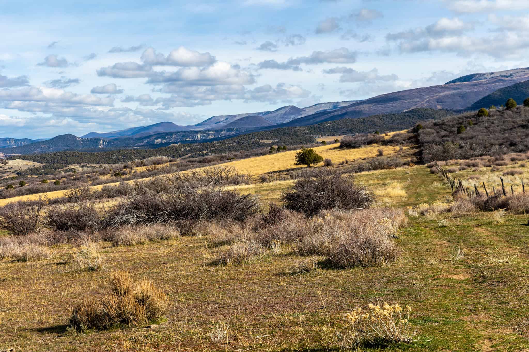 Bull Basin Meadows Ranch – Colorado Ranch in Collbran
