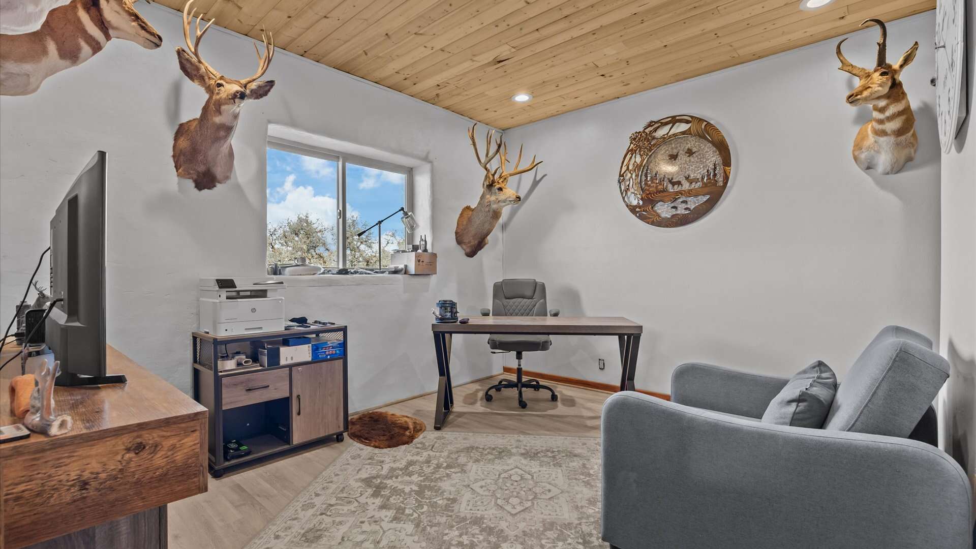Bull Creek Ranch For Sale in Mesa, CO