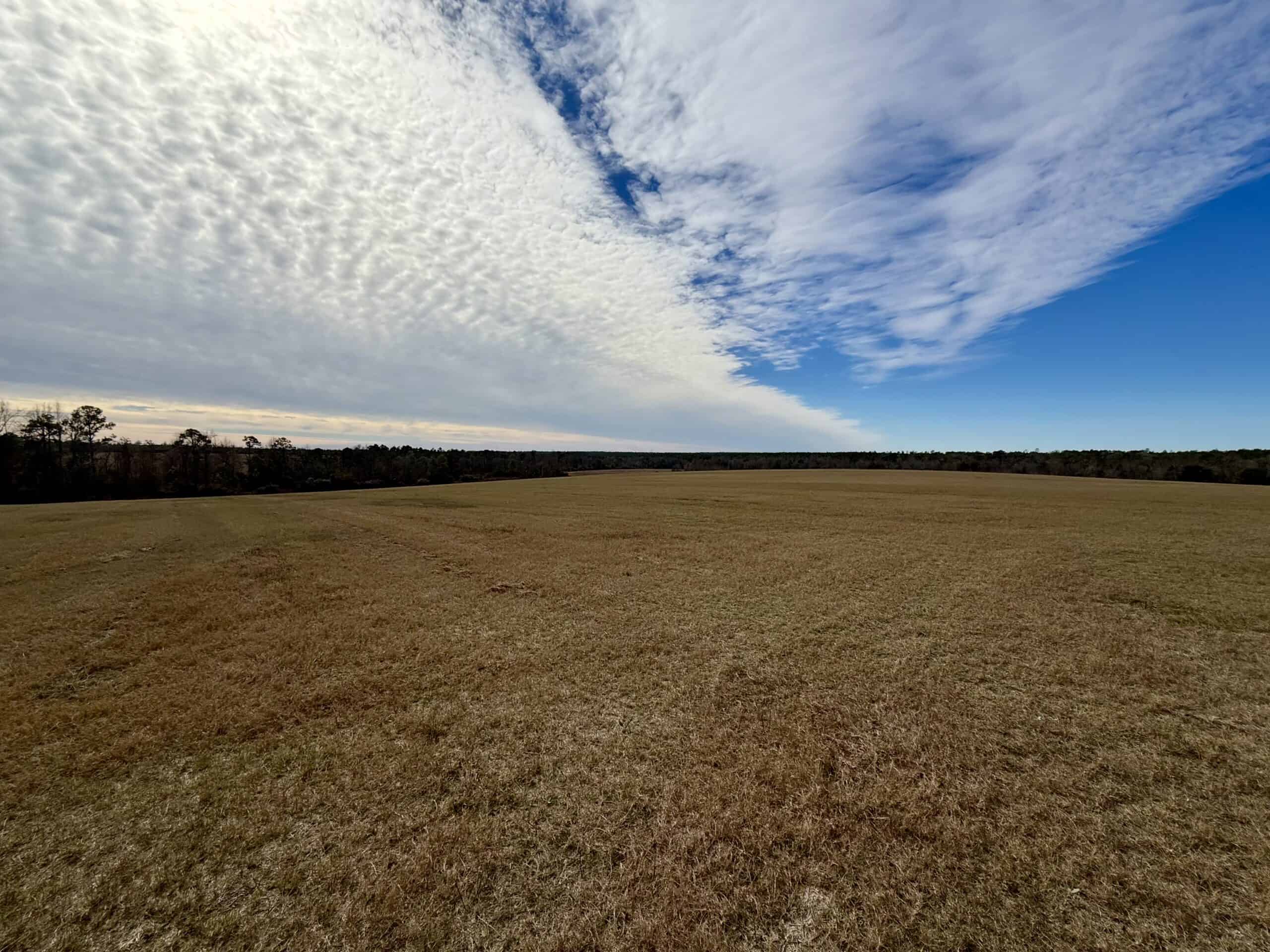 Rudd Sod Farm – 240 Acres in Alford, Florida – For Sale