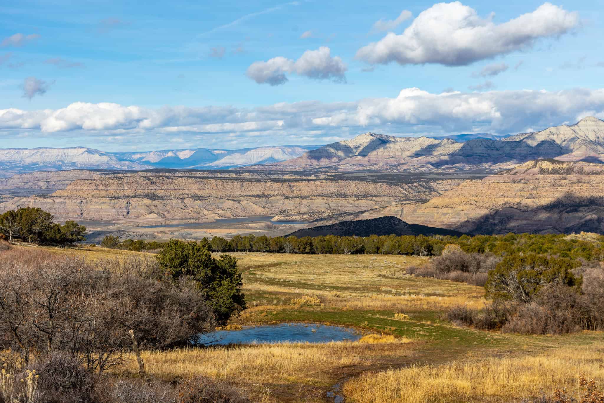 Bull Basin Meadows Ranch – Colorado Ranch in Collbran
