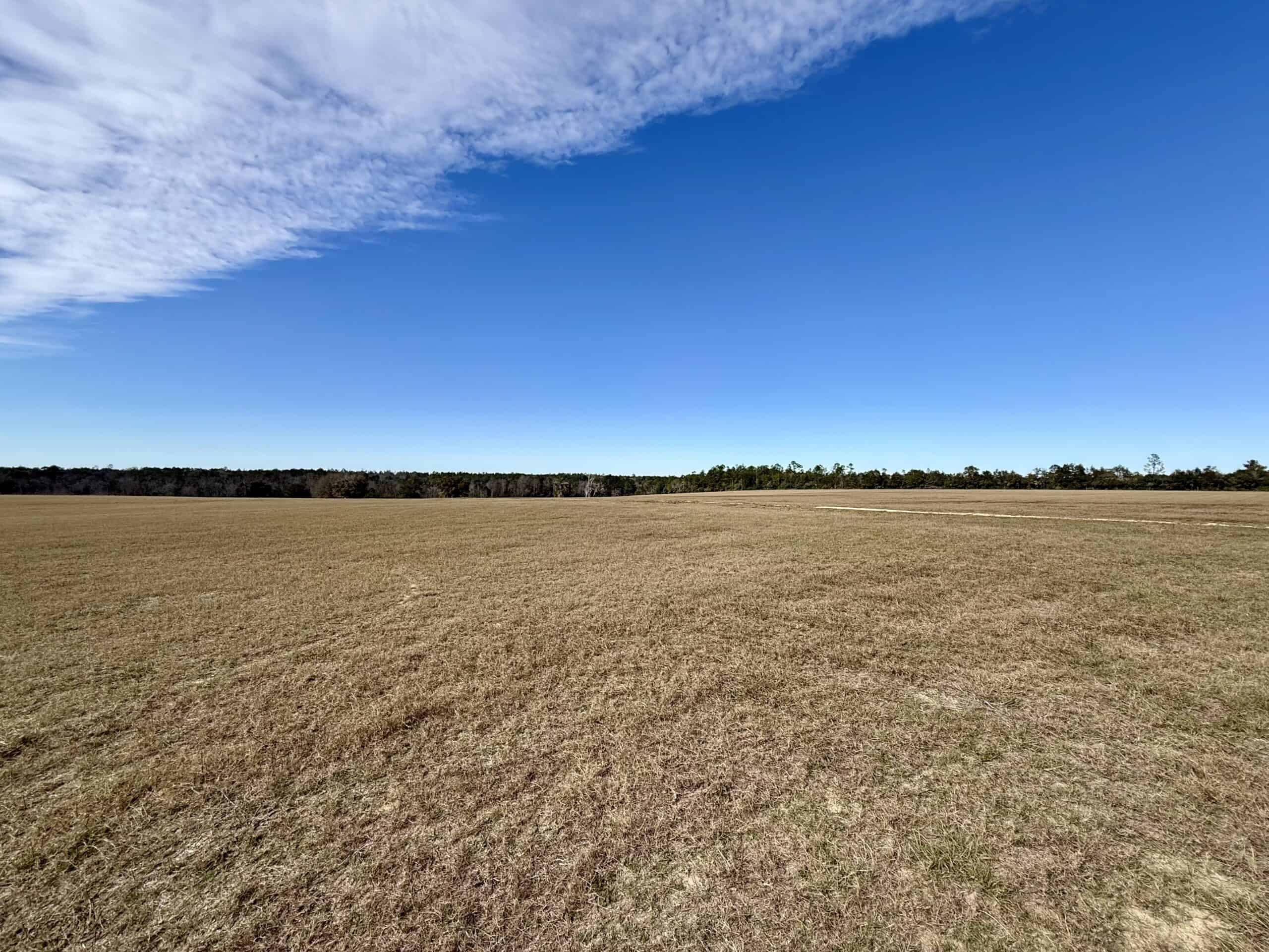 Rudd Sod Farm – 240 Acres in Alford, Florida – For Sale