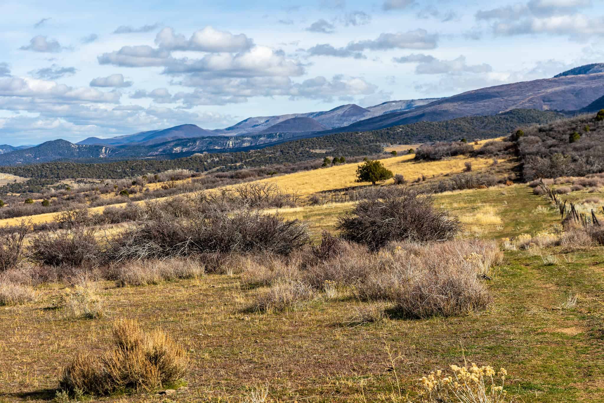 Bull Basin Meadows Ranch – Colorado Ranch in Collbran