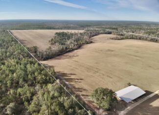 Rudd Sod Farm – 240 Acres in Alford, Florida – For Sale