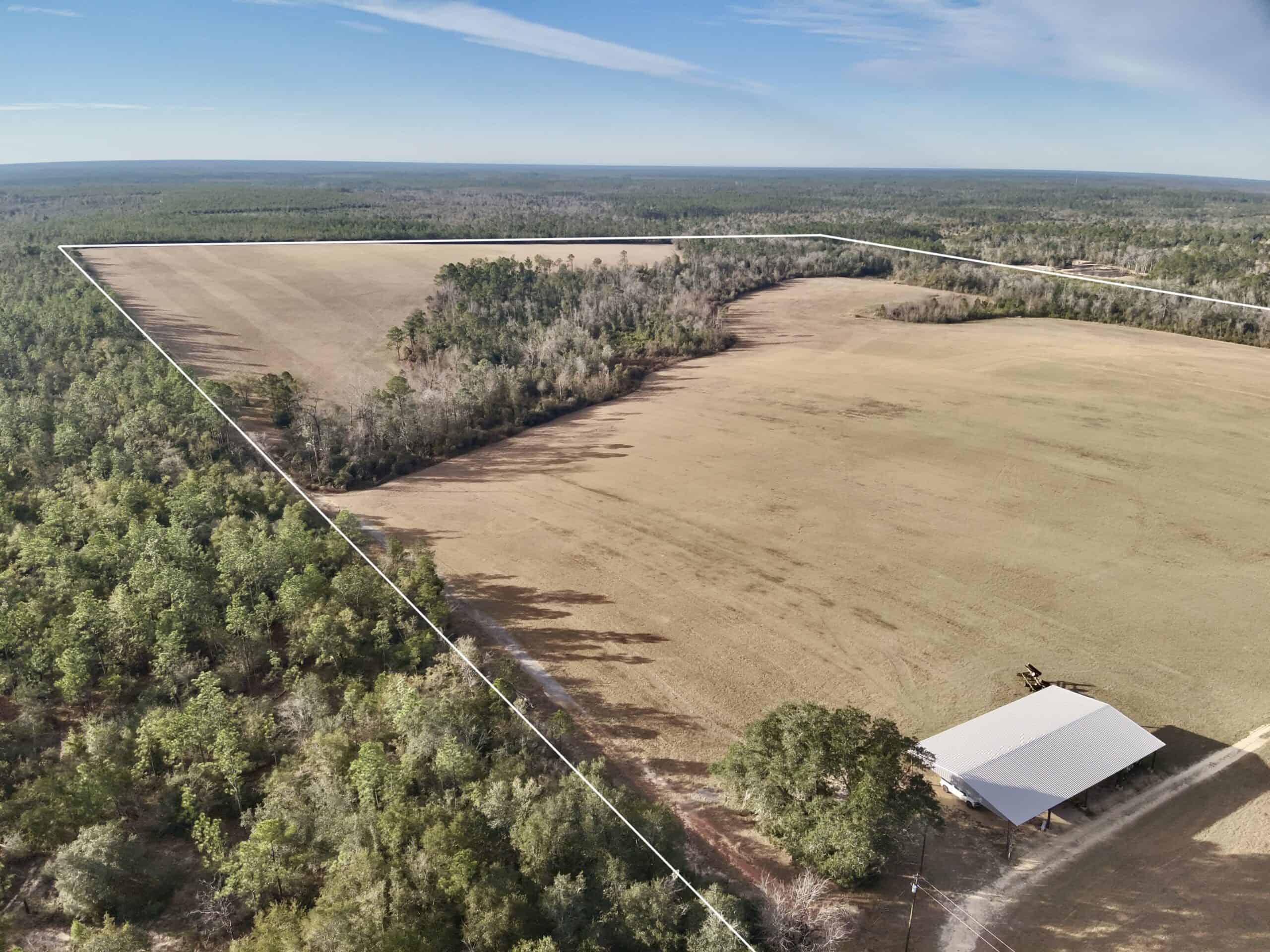 Rudd Sod Farm – 240 Acres in Alford, Florida – For Sale