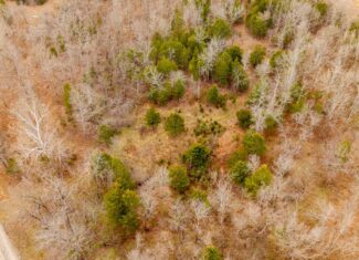 Prime Hunting Land in Koshkonong, Missouri