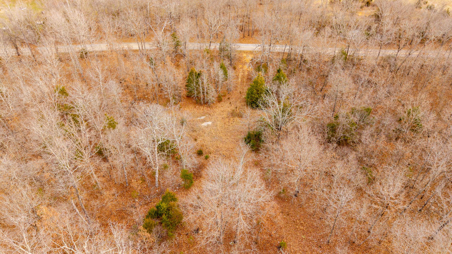 Prime Hunting Land in Koshkonong, Missouri