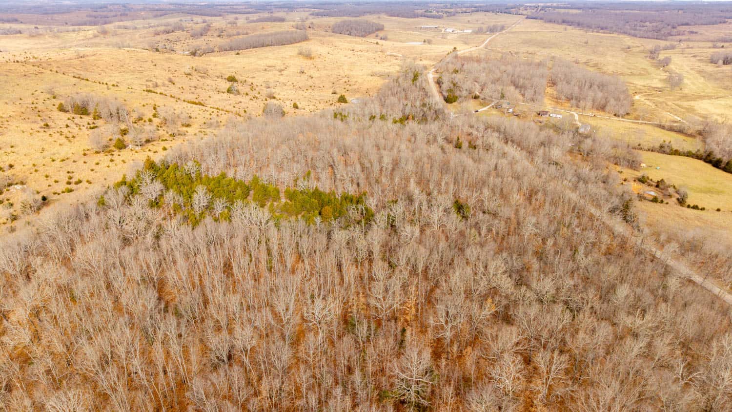 Prime Hunting Land in Koshkonong, Missouri