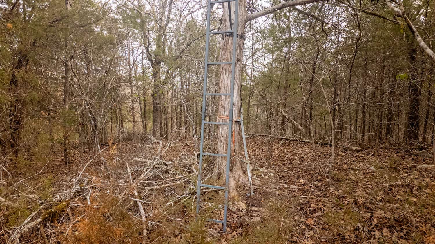Prime Hunting Land in Koshkonong, Missouri