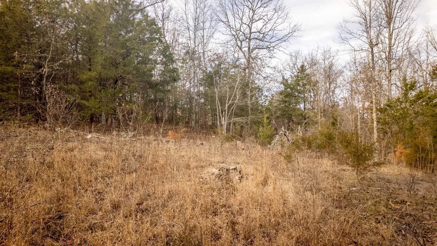 Prime Hunting Land in Koshkonong, Missouri
