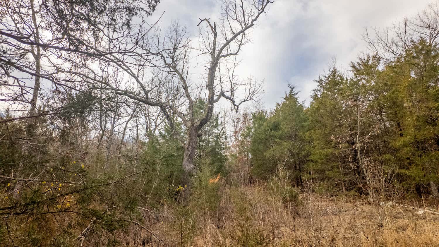 Prime Hunting Land in Koshkonong, Missouri
