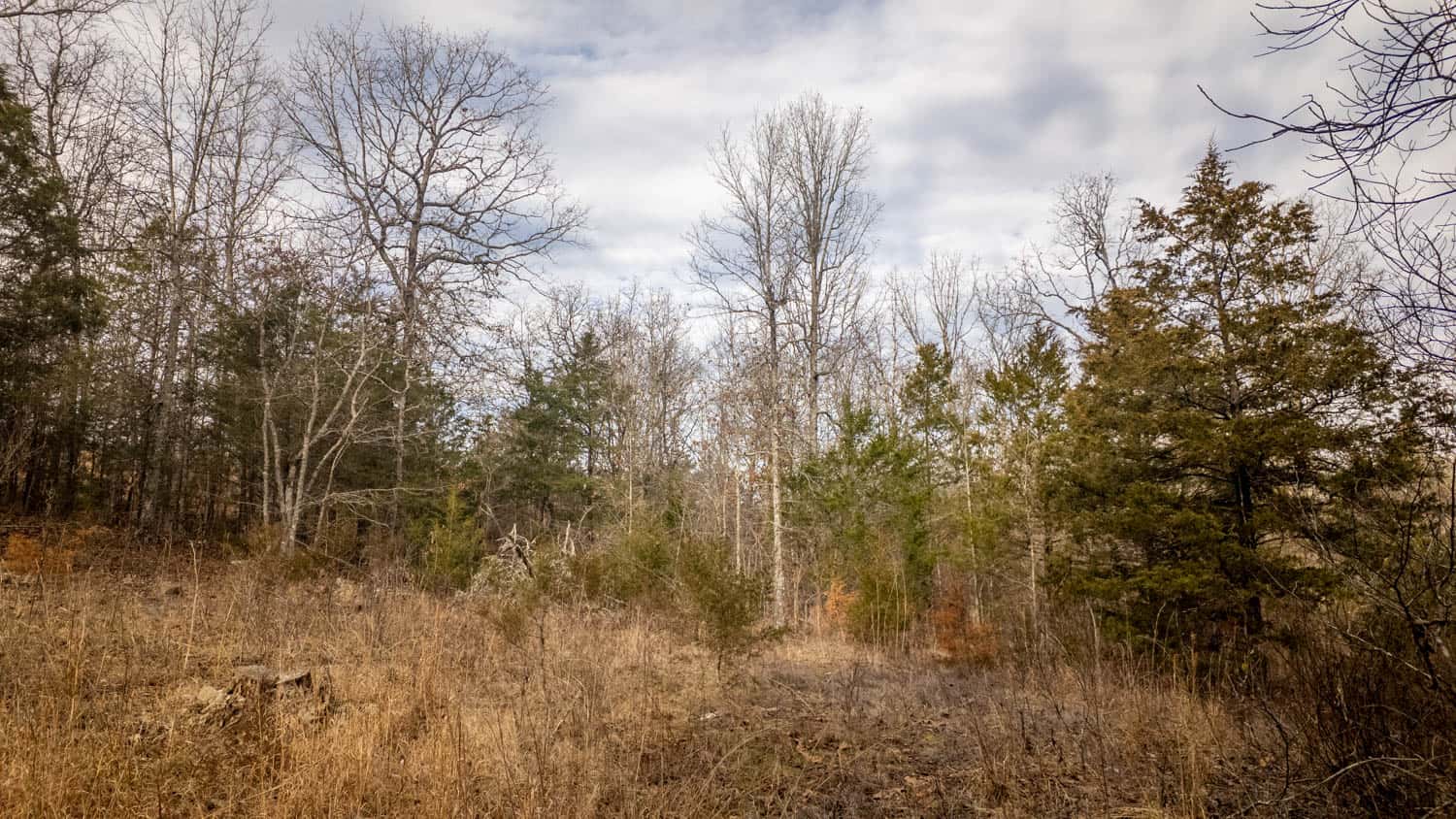 Prime Hunting Land in Koshkonong, Missouri
