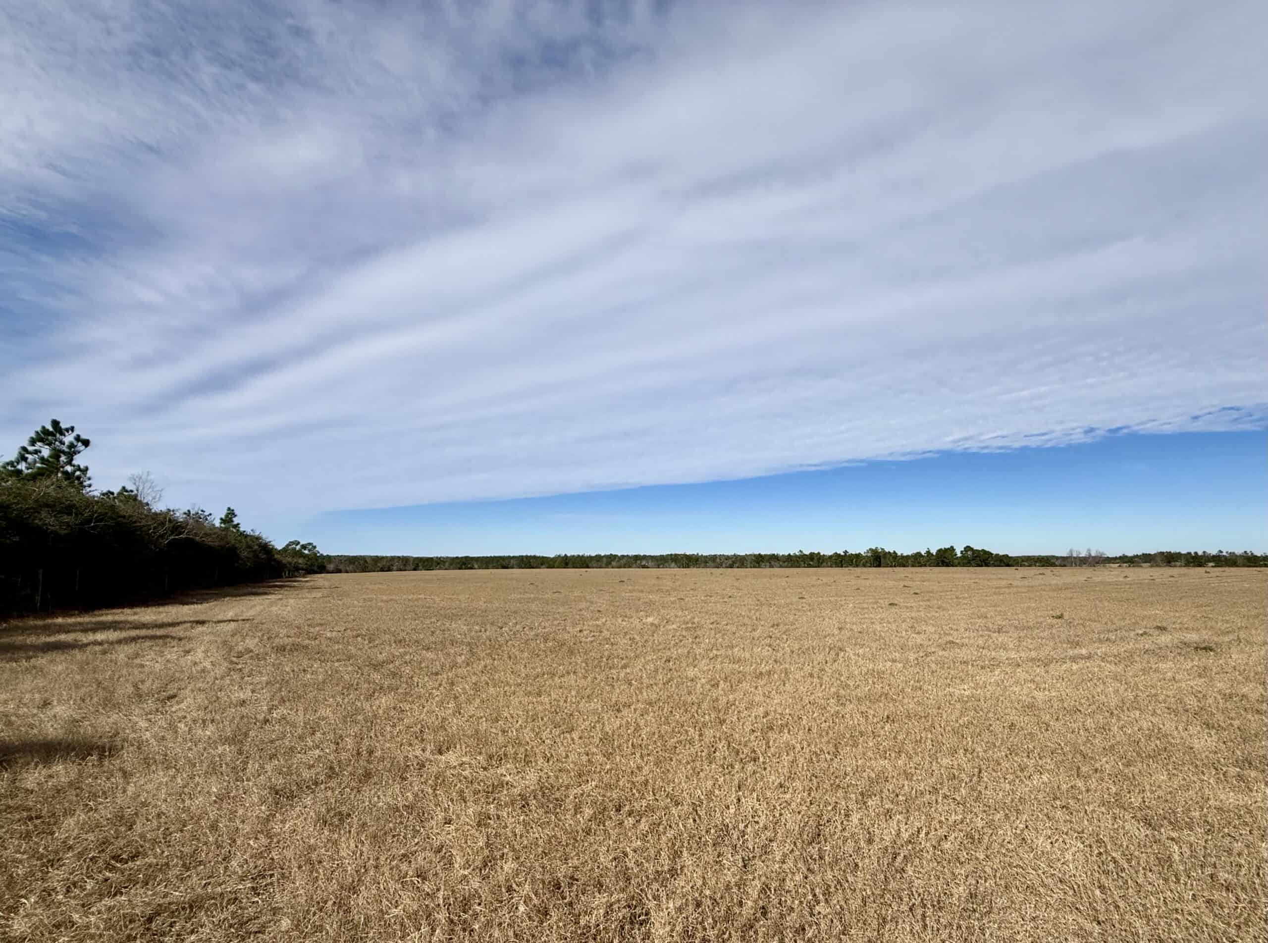 Rudd Sod Farm – 240 Acres in Alford, Florida – For Sale