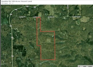 101 Acres in Atlanta, MI – Prime Hunting Land with Road Frontage