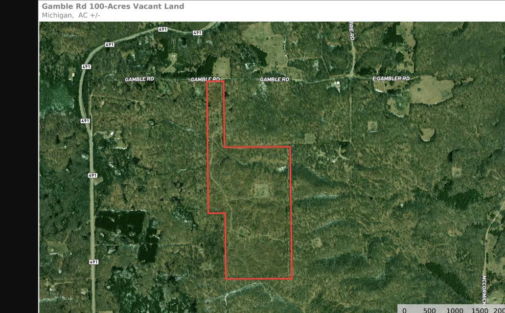101 Acres in Atlanta, MI – Prime Hunting Land with Road Frontage