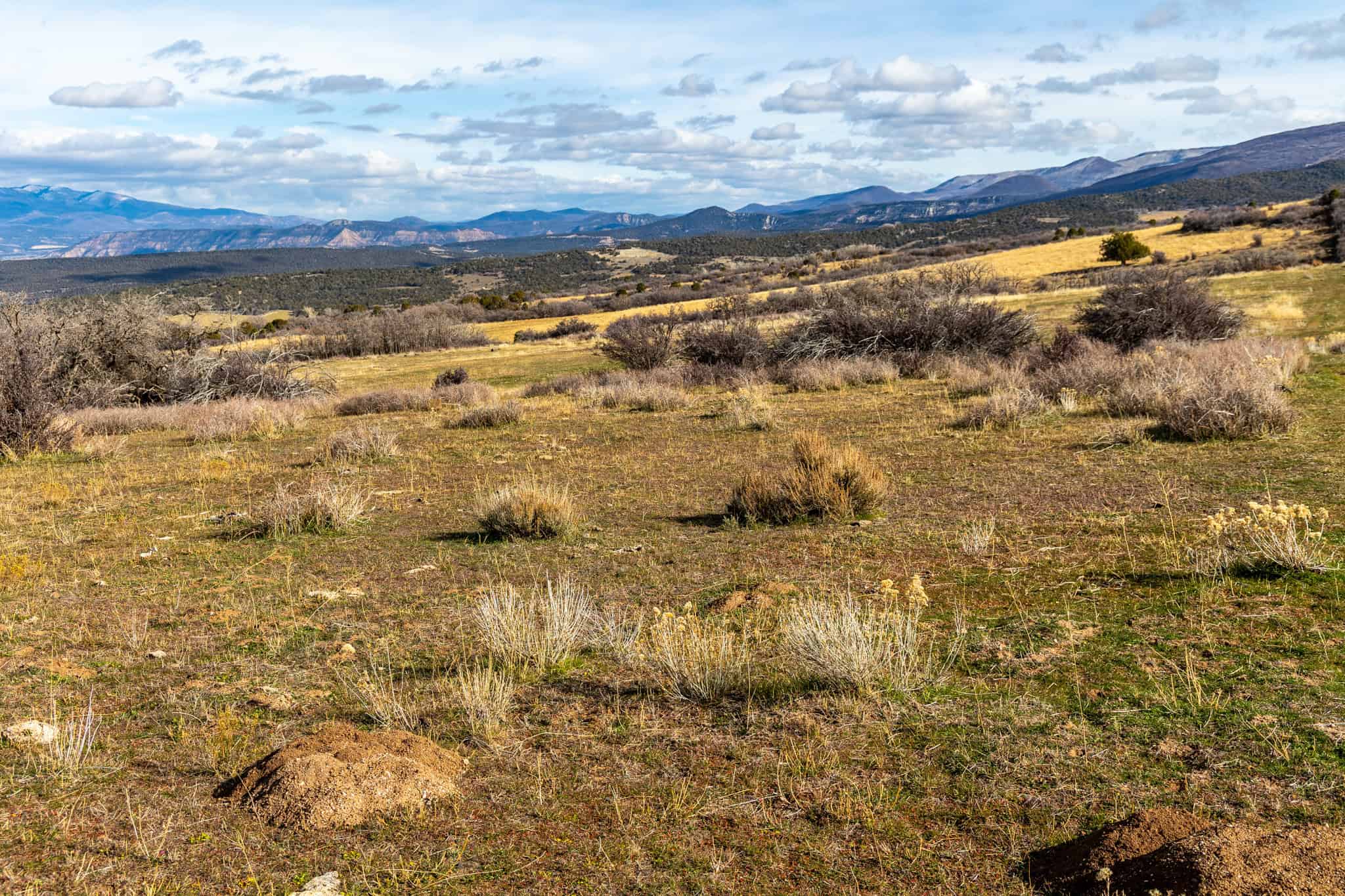 Bull Basin Meadows Ranch – Colorado Ranch in Collbran