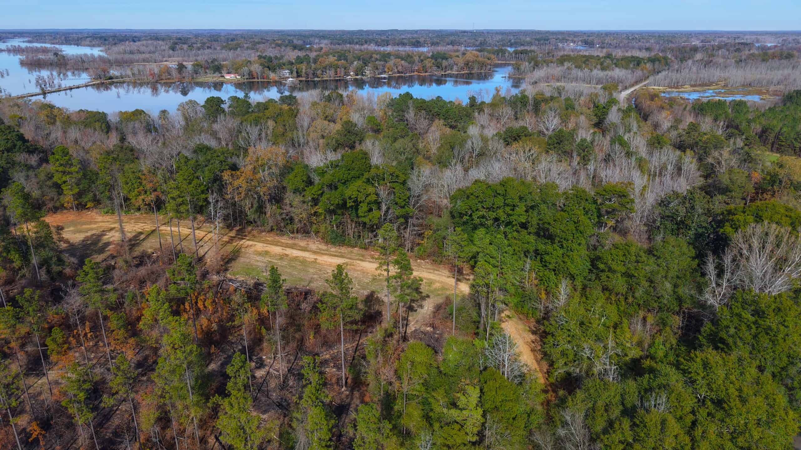 188 Acres for Sale in the Alabama River Bluff