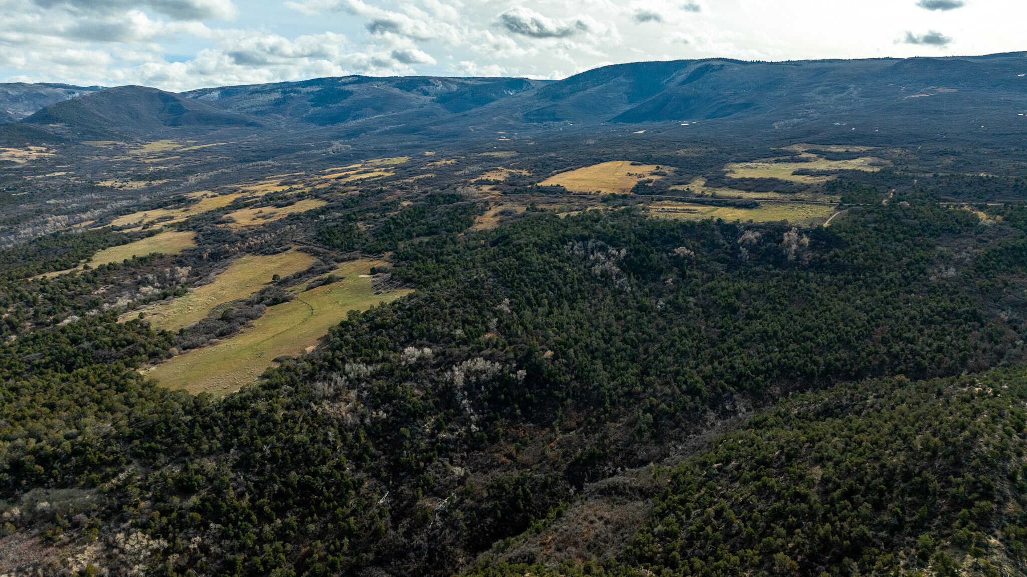 Bull Basin Meadows Ranch – Colorado Ranch in Collbran