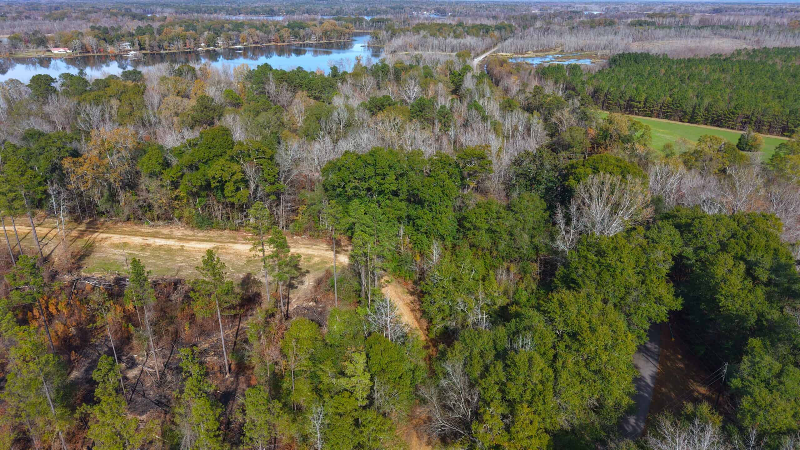 188 Acres for Sale in the Alabama River Bluff