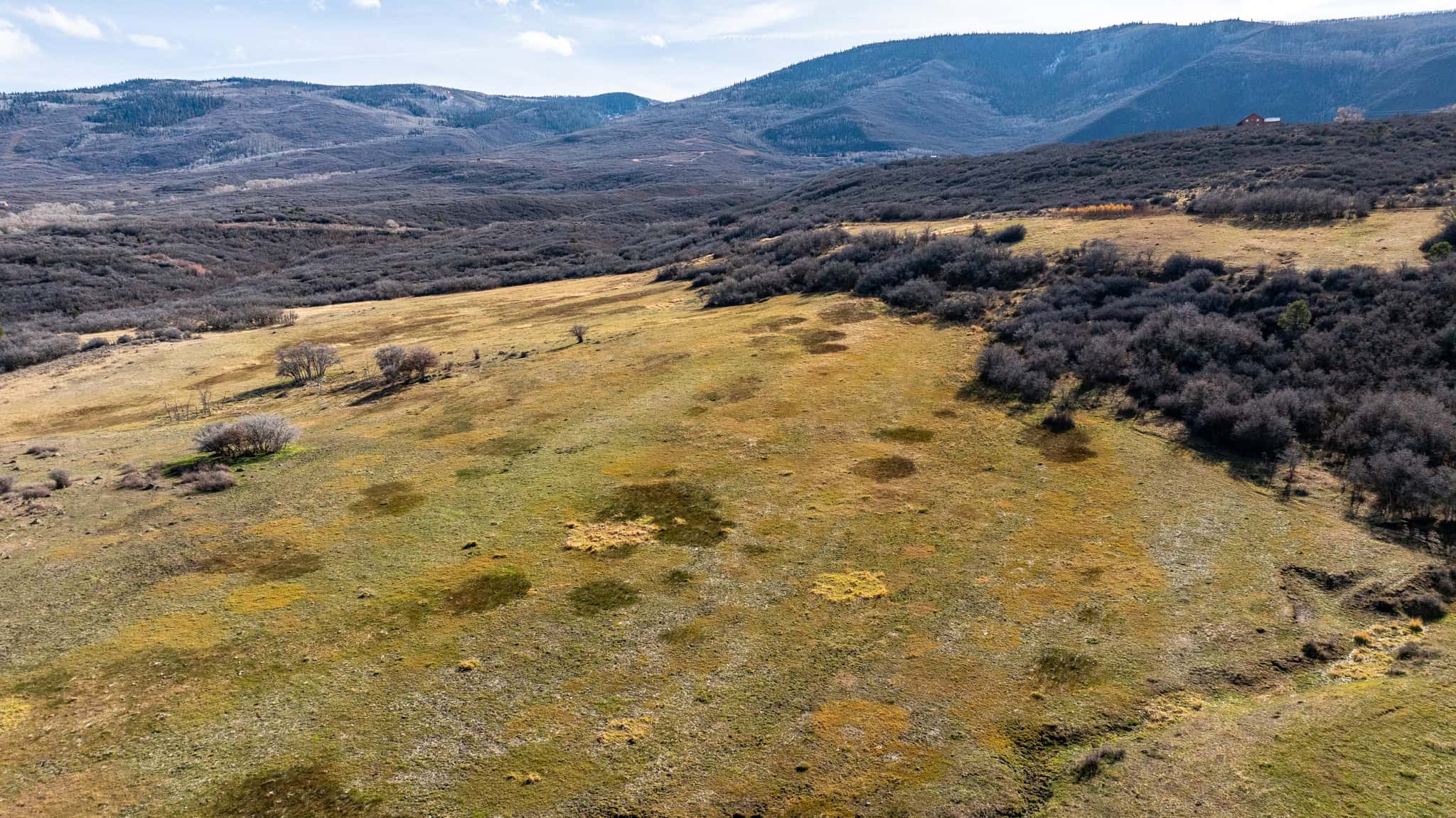 Bull Basin Meadows Ranch – Colorado Ranch in Collbran