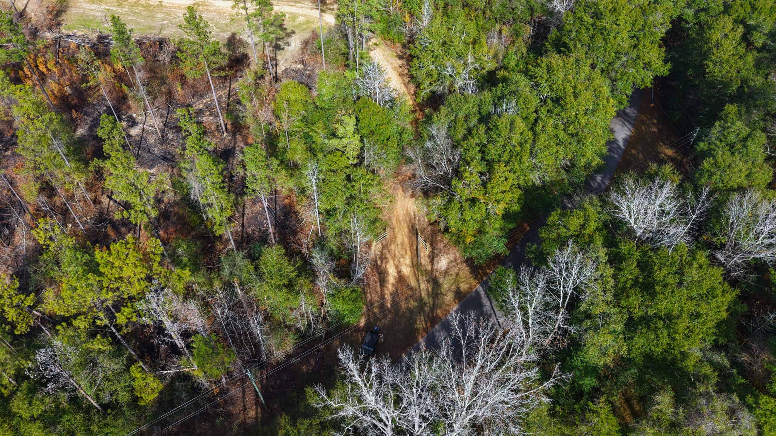 188 Acres for Sale in the Alabama River Bluff