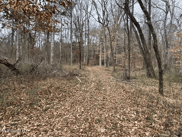 Prime Hunting/Recreation Tract near Homochitto Nat’l Forest